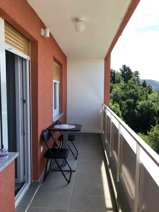 Danijela Apartment Rijeka Luaran gambar